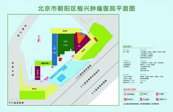 鸡巴插逼视频免费看北京市朝阳区桓兴肿瘤医院平面图